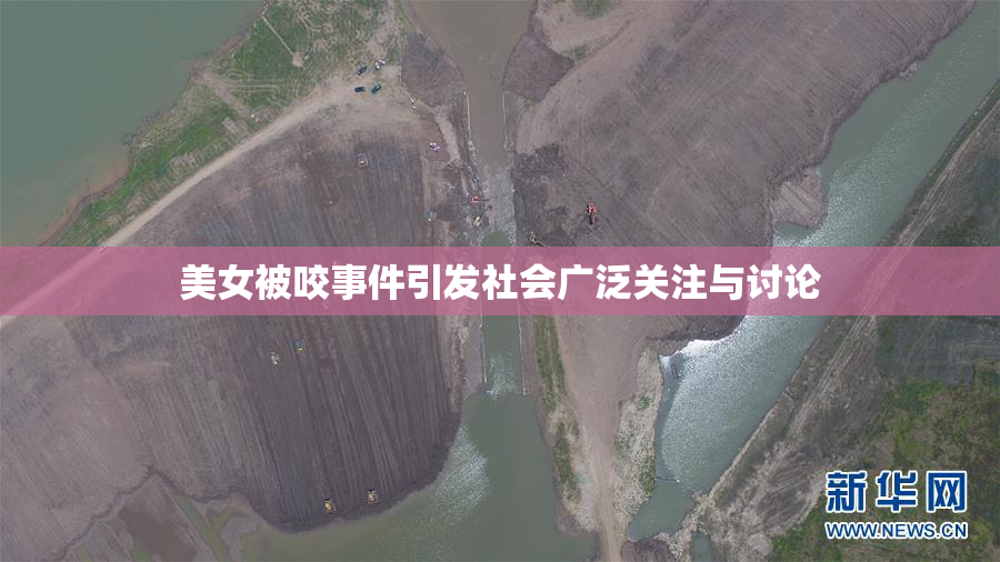 美女被咬事件引发社会广泛关注与讨论