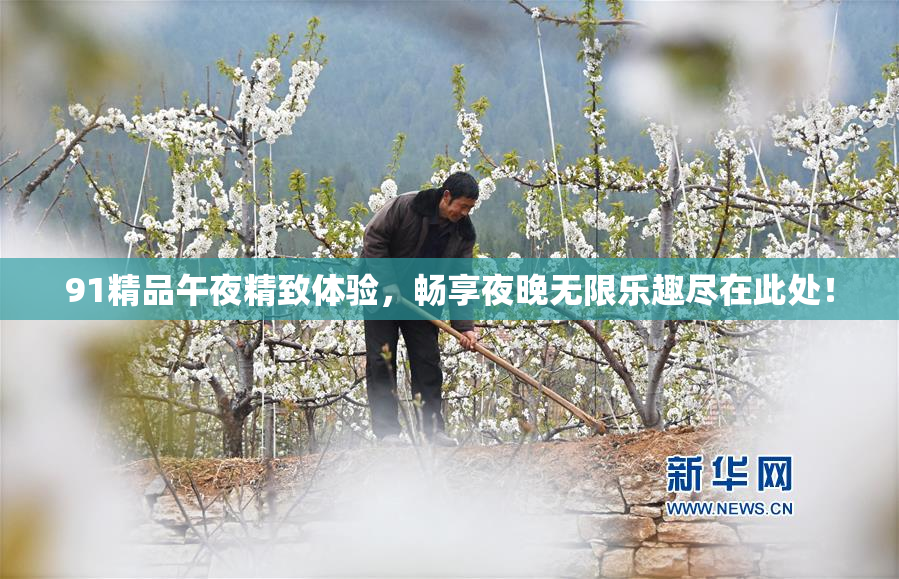 91精品午夜精致体验，畅享夜晚无限乐趣尽在此处！