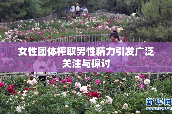 女性团体榨取男性精力引发广泛关注与探讨
