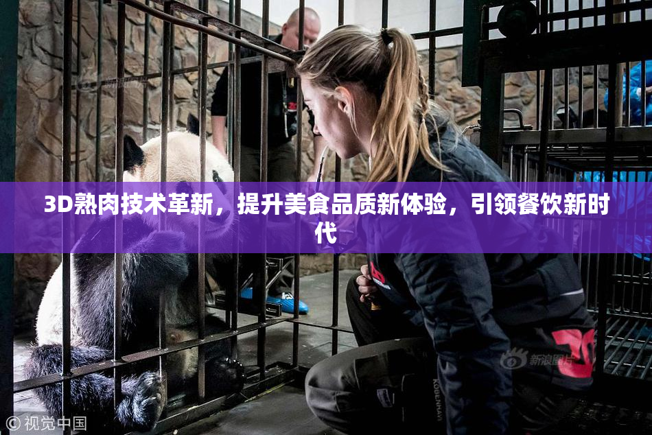 3D熟肉技术革新，提升美食品质新体验，引领餐饮新时代