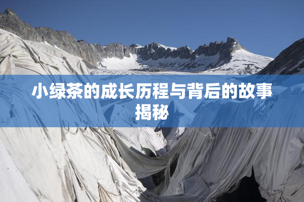 小绿茶的成长历程与背后的故事揭秘