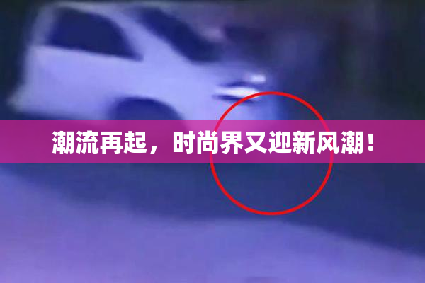 潮流再起，时尚界又迎新风潮！