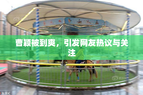 曹颖被到爽，引发网友热议与关注
