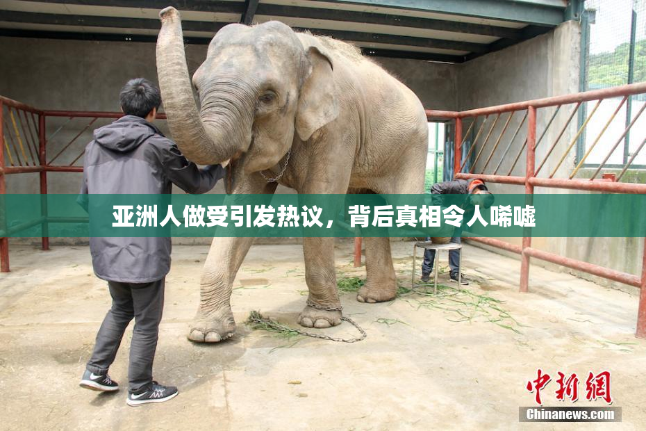 亚洲人做受引发热议，背后真相令人唏嘘