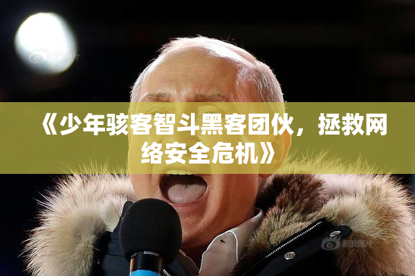 《少年骇客智斗黑客团伙，拯救网络安全危机》
