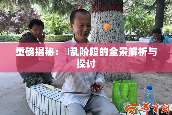 重磅揭秘：婬乱阶段的全景解析与探讨