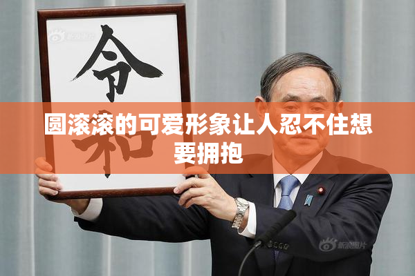 圆滚滚的可爱形象让人忍不住想要拥抱