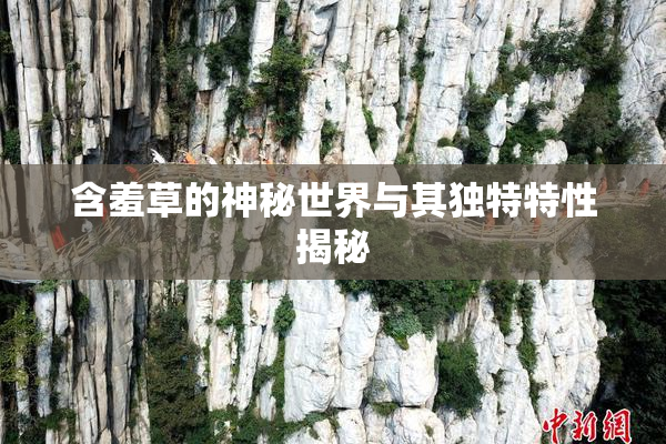 含羞草的神秘世界与其独特特性揭秘