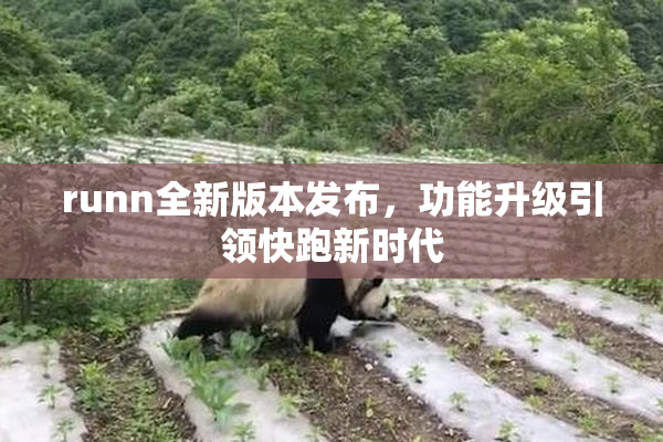 runn全新版本发布，功能升级引领快跑新时代