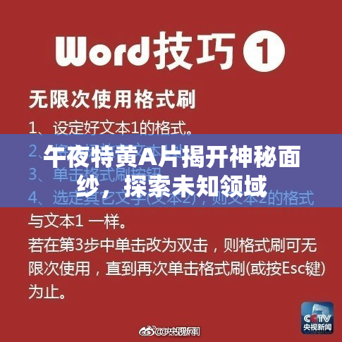 午夜特黄A片揭开神秘面纱，探索未知领域