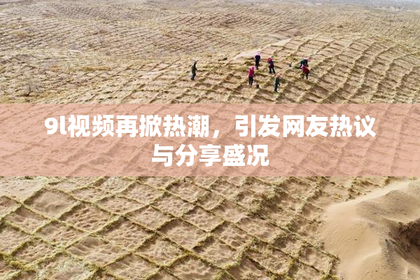 9l视频再掀热潮，引发网友热议与分享盛况