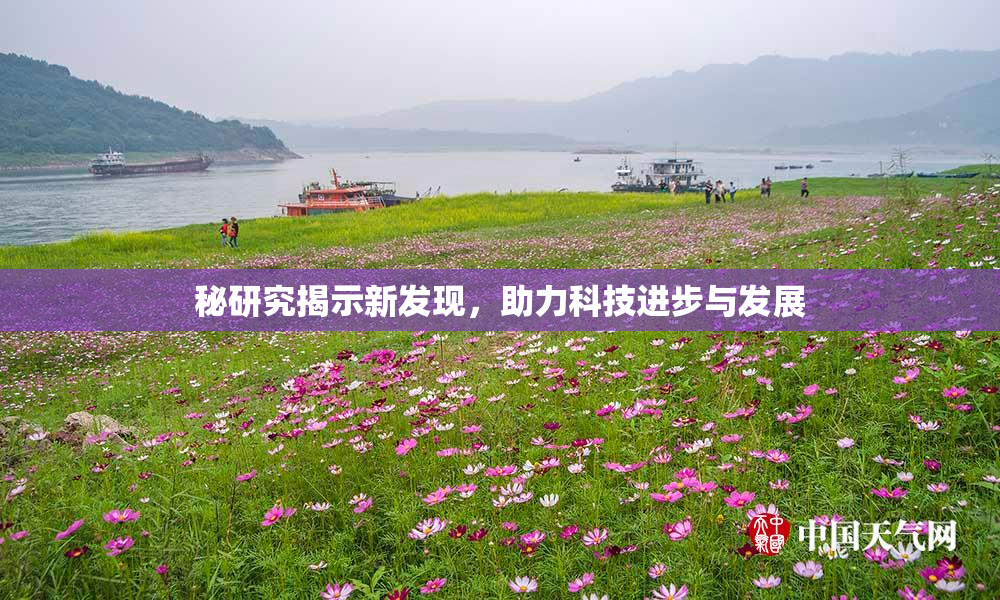 秘研究揭示新发现，助力科技进步与发展
