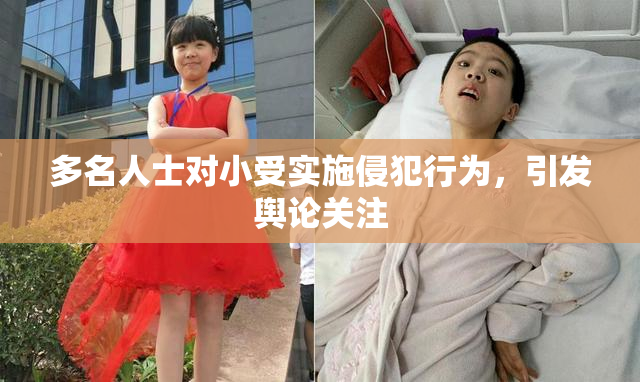 多名人士对小受实施侵犯行为，引发舆论关注