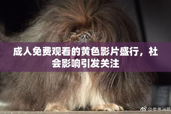 成人免费观看的黄色影片盛行，社会影响引发关注