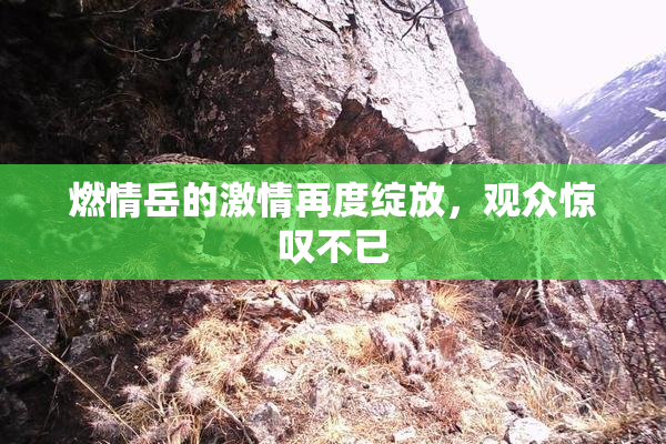 燃情岳的激情再度绽放，观众惊叹不已