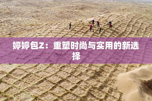 婷婷包Z：重塑时尚与实用的新选择