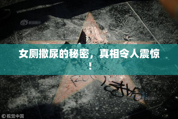 女厕撒尿的秘密，真相令人震惊！