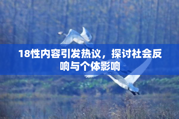 18性内容引发热议，探讨社会反响与个体影响