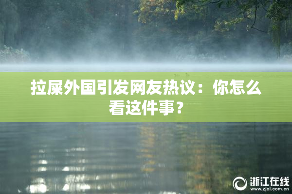 拉屎外国引发网友热议：你怎么看这件事？