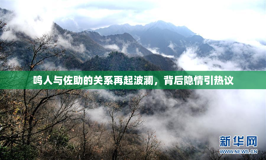 鸣人与佐助的关系再起波澜，背后隐情引热议
