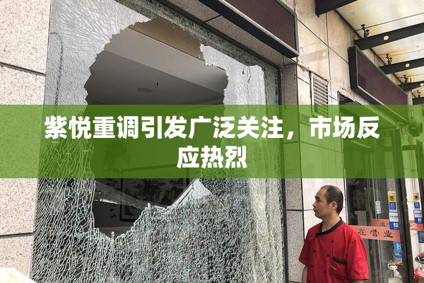 紫悦重调引发广泛关注，市场反应热烈