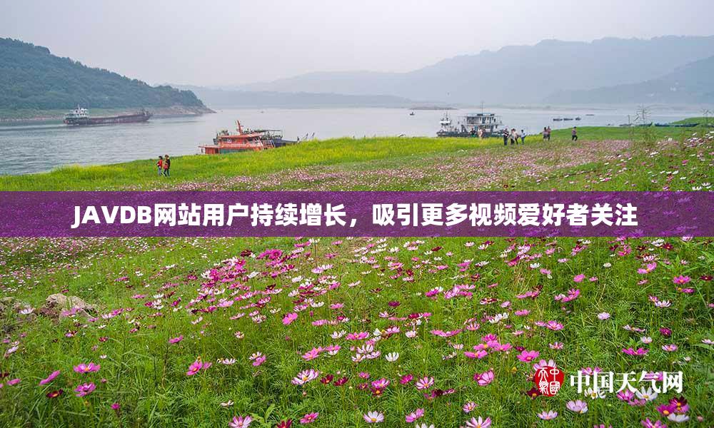 JAVDB网站用户持续增长，吸引更多视频爱好者关注