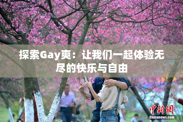 探索Gay爽：让我们一起体验无尽的快乐与自由