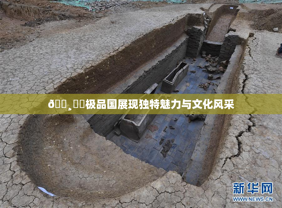 🌸‌✿极品国展现独特魅力与文化风采