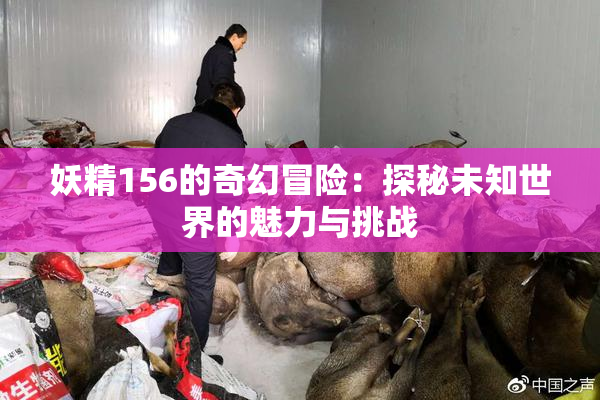 妖精156的奇幻冒险：探秘未知世界的魅力与挑战