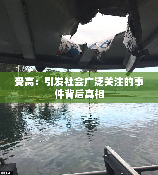 受高：引发社会广泛关注的事件背后真相