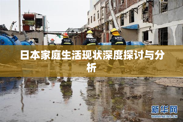 日本家庭生活现状深度探讨与分析