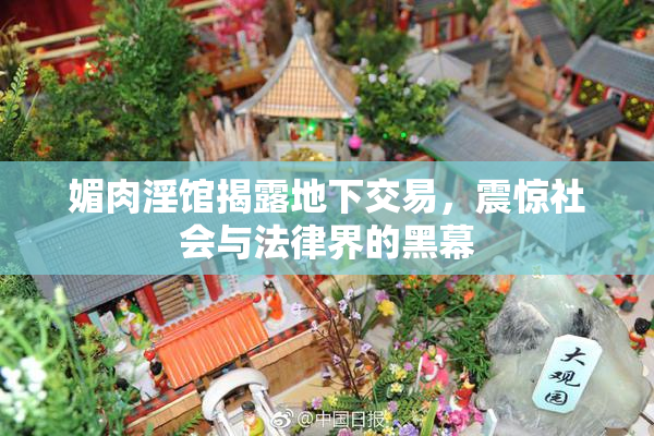 媚肉淫馆揭露地下交易，震惊社会与法律界的黑幕