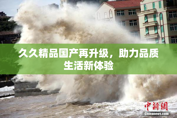 久久精品国产再升级，助力品质生活新体验