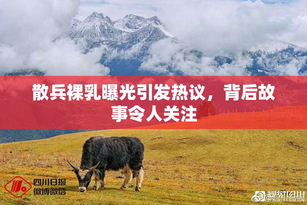 散兵裸乳曝光引发热议，背后故事令人关注