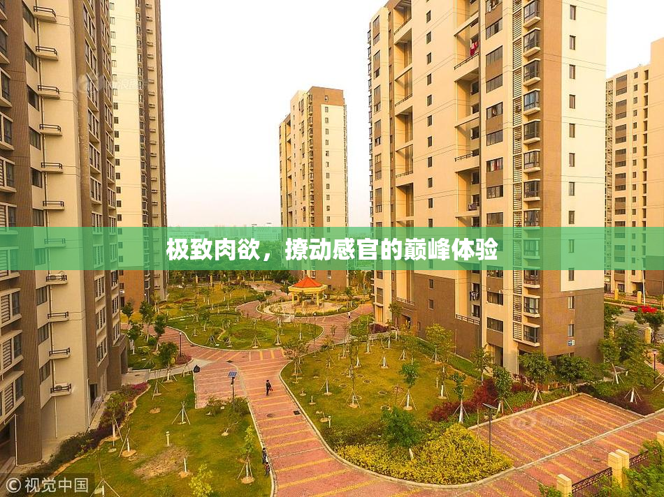 极致肉欲，撩动感官的巅峰体验