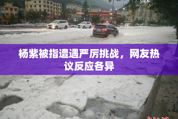 杨紫被指遭遇严厉挑战，网友热议反应各异