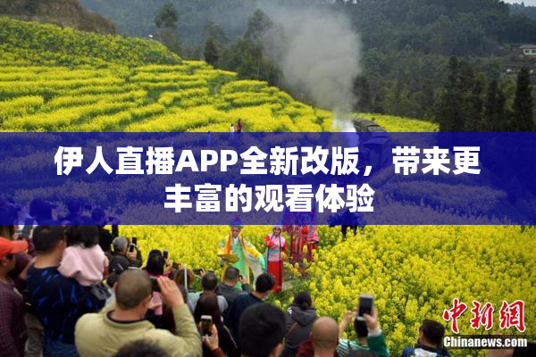 伊人直播APP全新改版，带来更丰富的观看体验