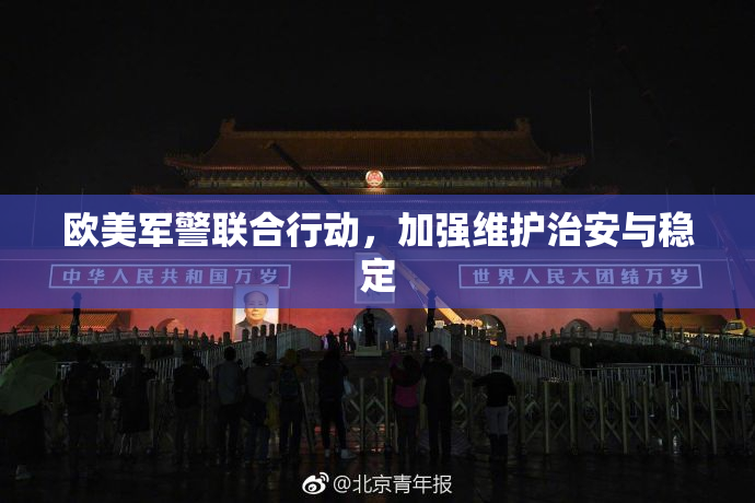 欧美军警联合行动，加强维护治安与稳定