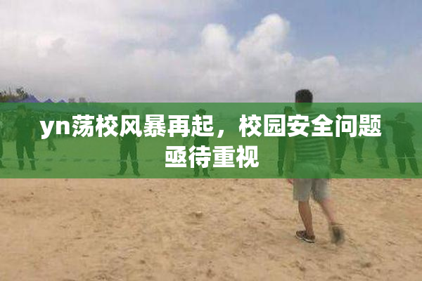 yn荡校风暴再起，校园安全问题亟待重视