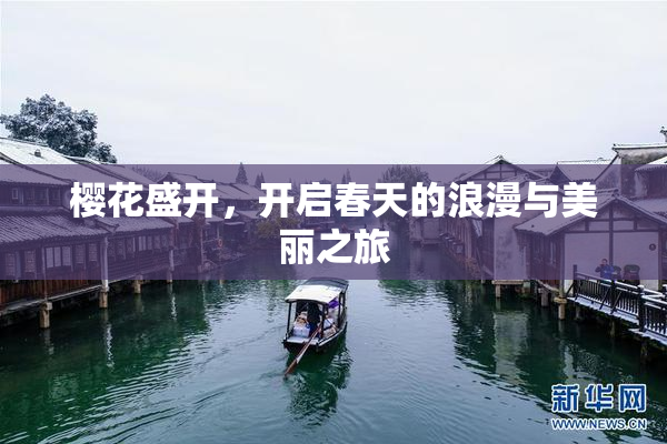 樱花盛开，开启春天的浪漫与美丽之旅