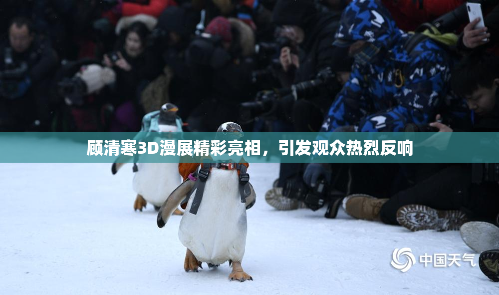 顾清寒3D漫展精彩亮相，引发观众热烈反响