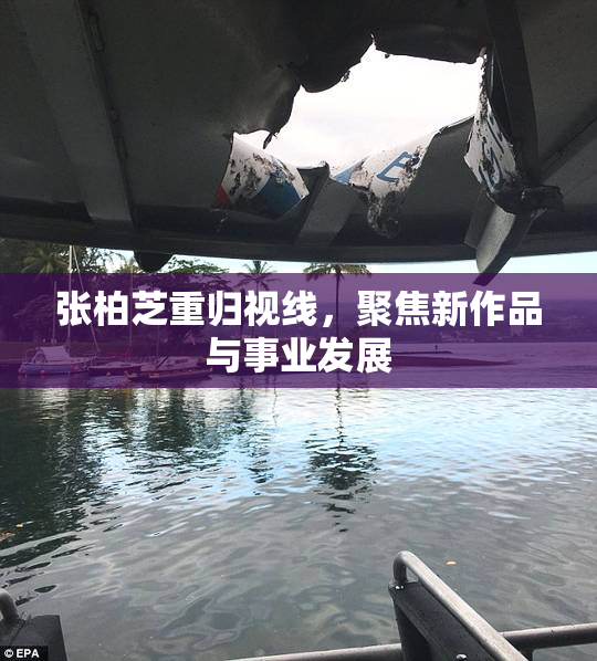 张柏芝重归视线，聚焦新作品与事业发展