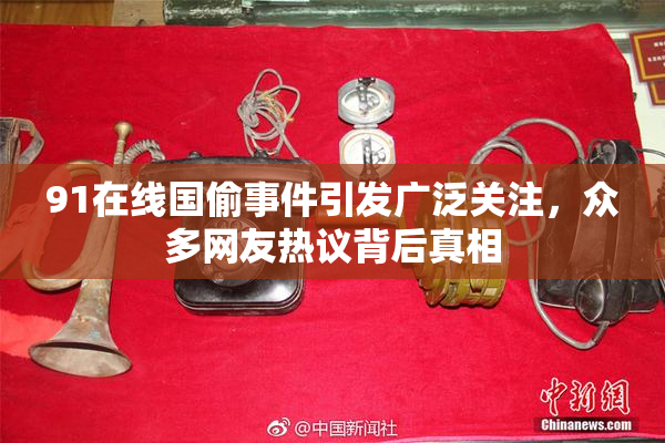 91在线国偷事件引发广泛关注，众多网友热议背后真相