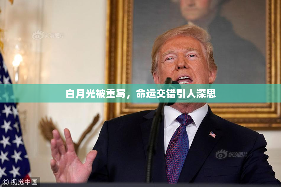 白月光被重写，命运交错引人深思