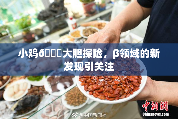 小鸡🐔大胆探险，β领域的新发现引关注