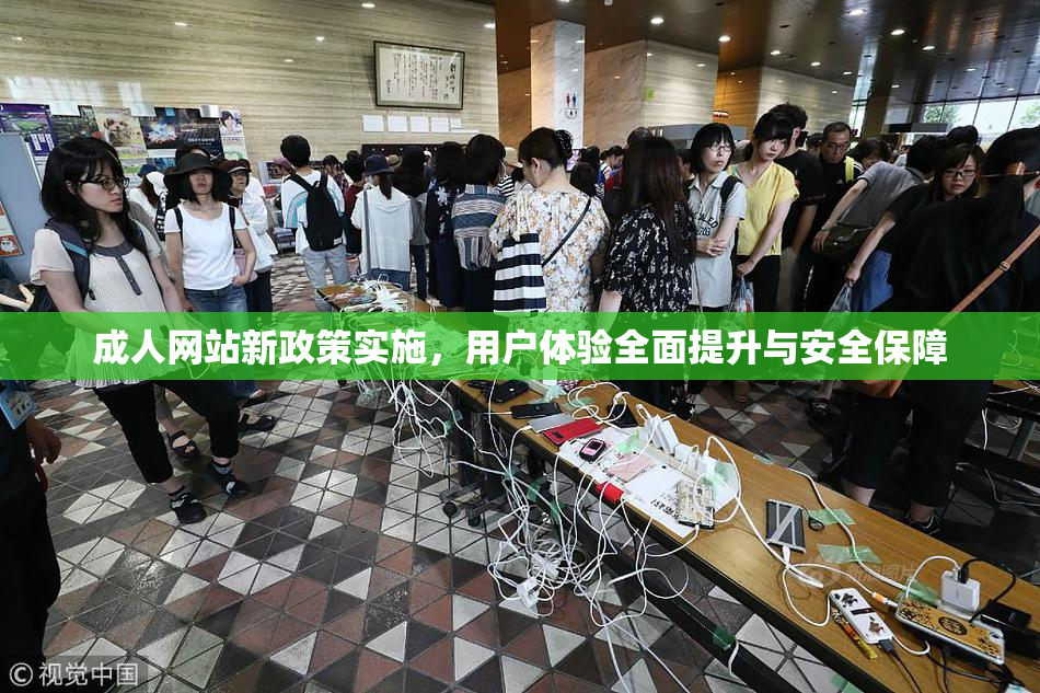 成人网站新政策实施，用户体验全面提升与安全保障