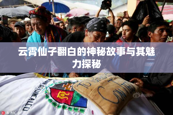云霄仙子翻白的神秘故事与其魅力探秘