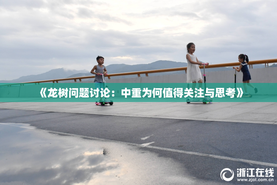 《龙树问题讨论：中重为何值得关注与思考》