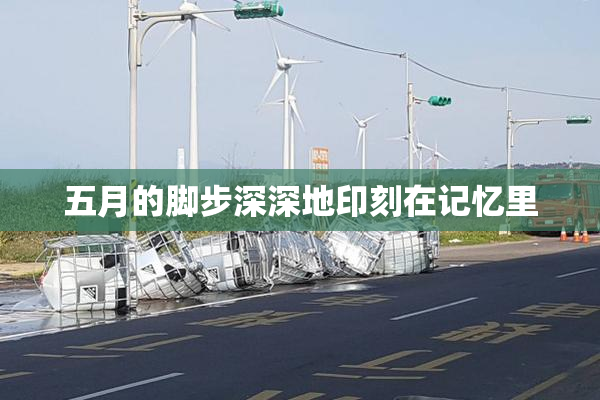 五月的脚步深深地印刻在记忆里