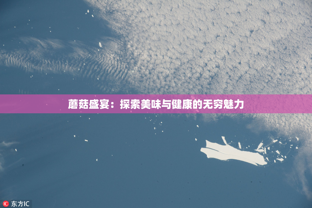 蘑菇盛宴：探索美味与健康的无穷魅力